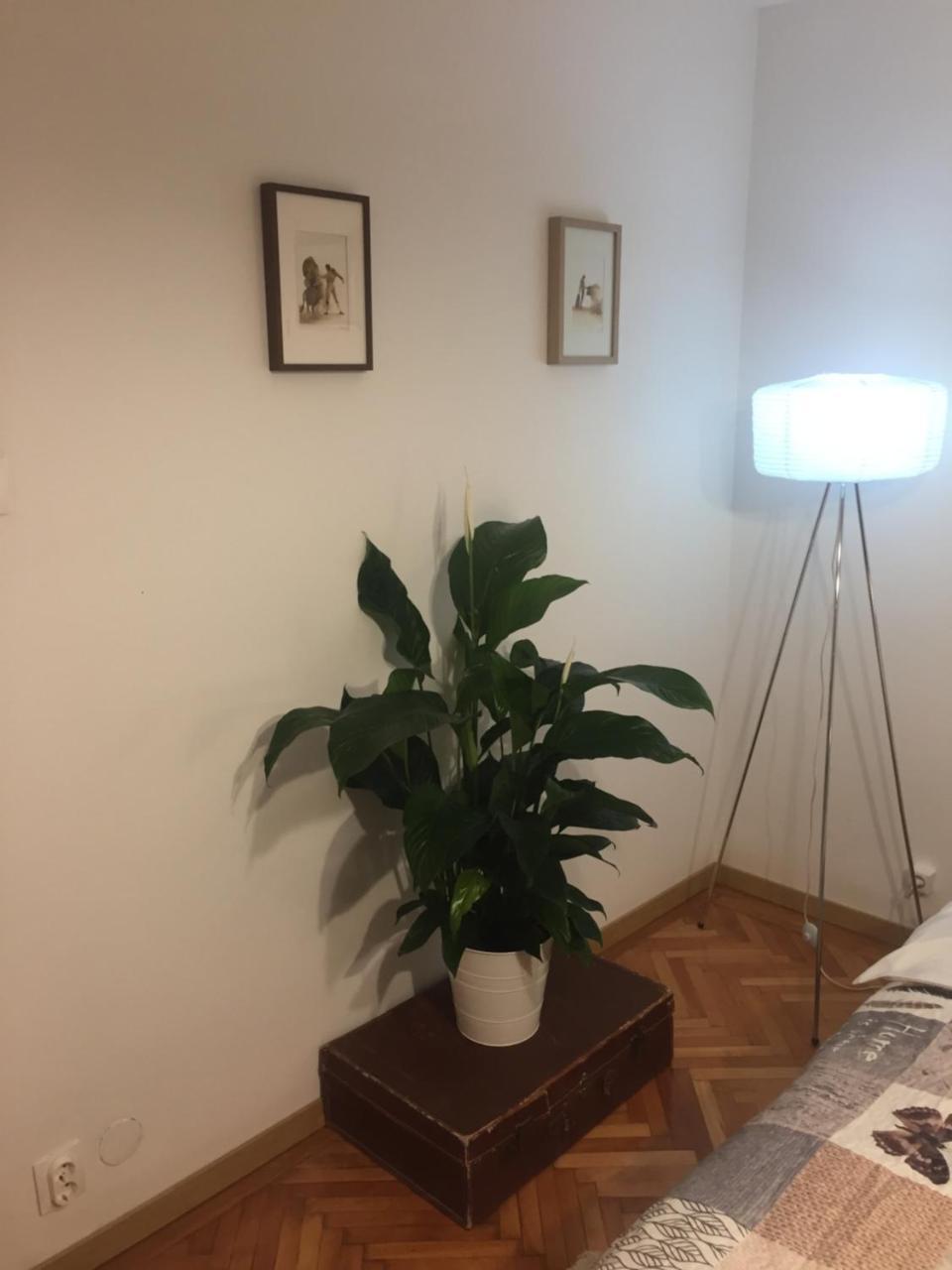 Marcy Studio Apartment Bucureşti Ngoại thất bức ảnh